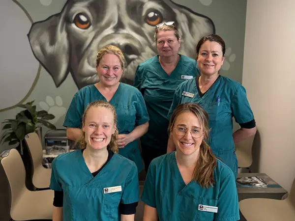 Personalegruppe hos Dyrehospitalet Sønderborg