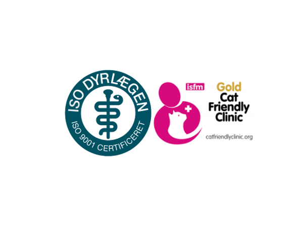 Certificeringer hos Dyrehospitalet Sønderborg: ISO 9001-certificeret dyrlæge og Gold Cat Friendly Clinic (ISFM)