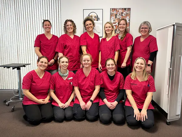Personaleteam hos Dyrehospitalet Sønderborg