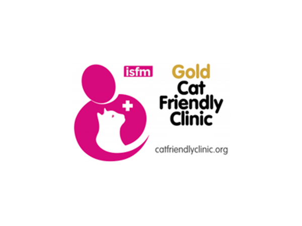 Cat Friendly Clinic Gold-certificering for Dyrehospitalet Sønderborg