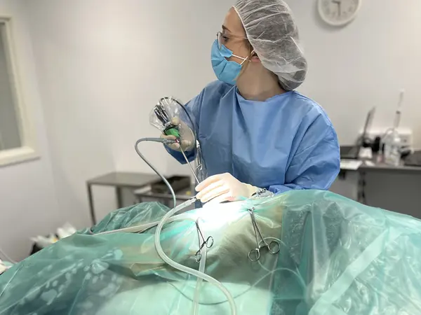 Dyrlæge udfører operation på hund hos Dyrehospitalet Sønderborg – kirurgi og operation for hund