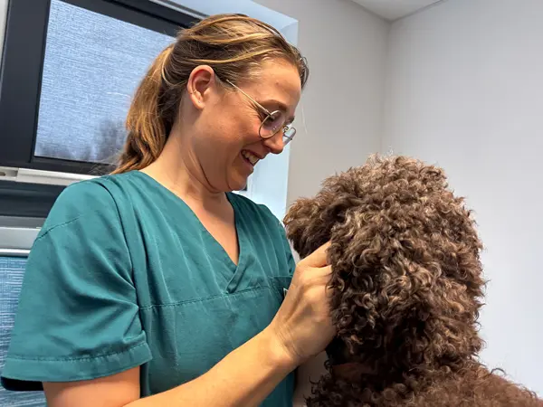 Dyrlæge undersøger hund hos Dyrehospitalet Sønderborg